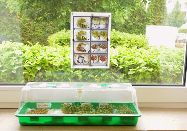 Junkersdorf Kita Pflanzen